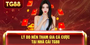 ly do nen tham gia ca cuoc tai nha cai tg88