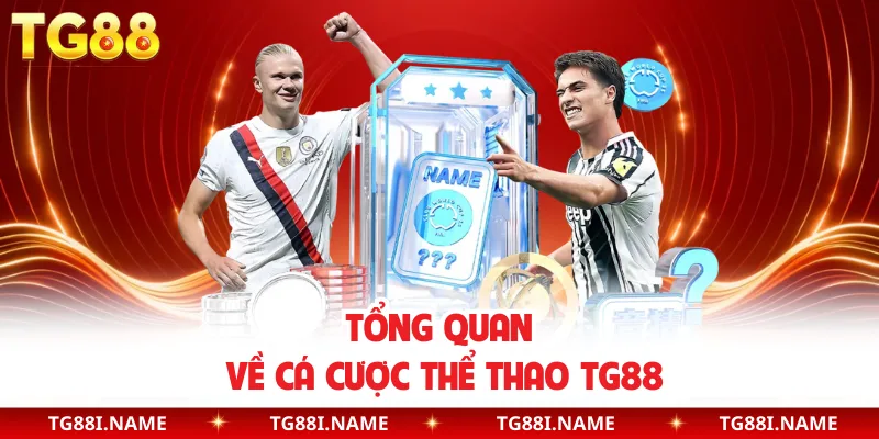 Tổng Quan Về Cá Cược Thể Thao TG88